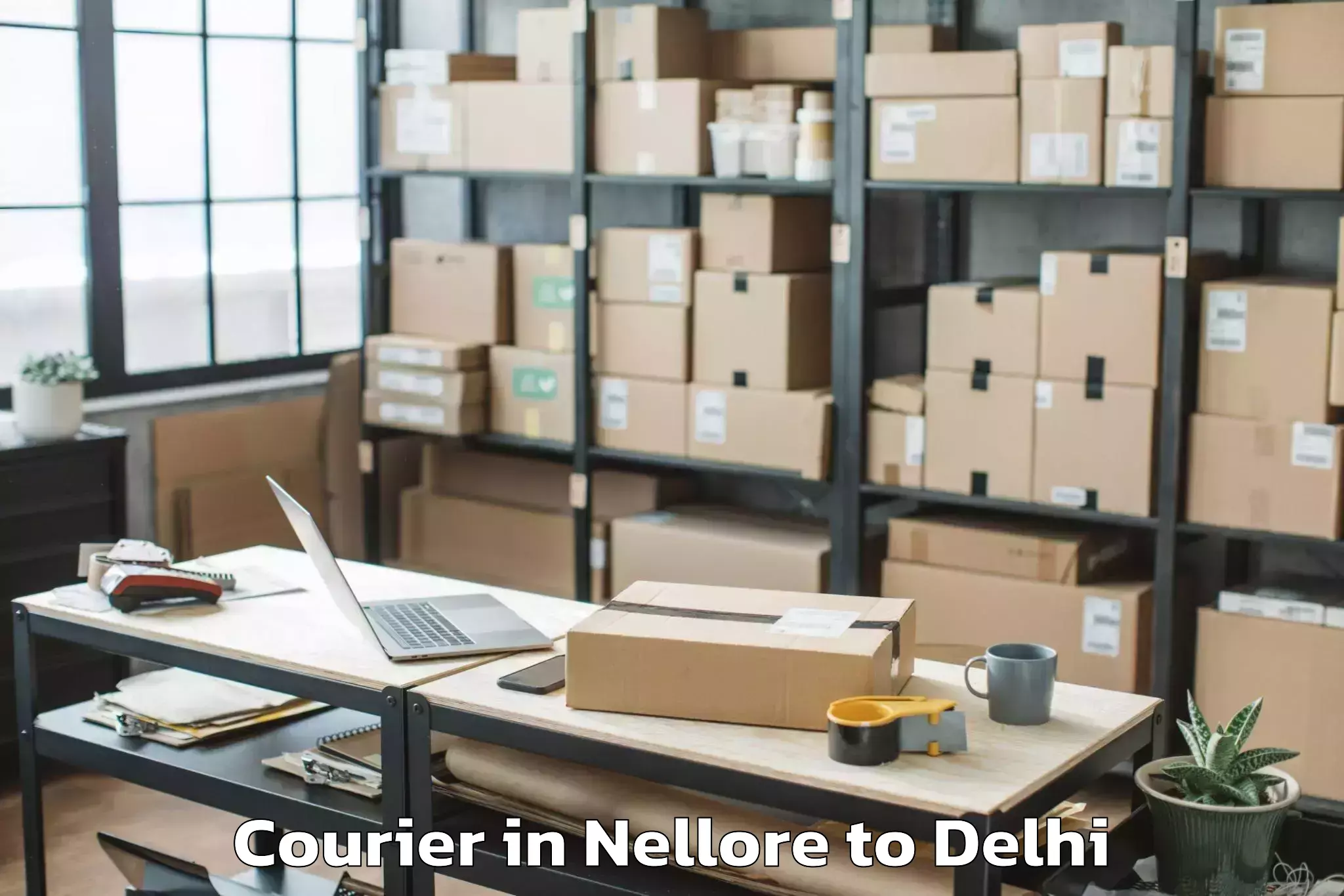 Nellore to Seema Puri Courier Booking